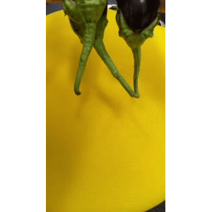 美食菜系做法13177