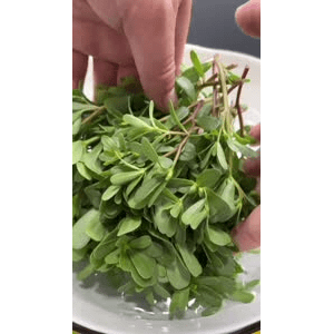 美食菜系做法13194