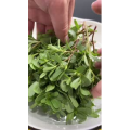 美食菜系做法13194
