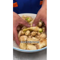 美食菜系做法13272