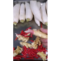 美食菜系做法13282