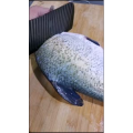 美食菜系做法13305