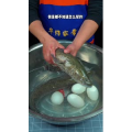 美食菜系做法13348