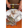 美食菜系做法13379