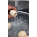 美食菜系做法13422