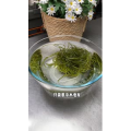 美食菜系做法13430