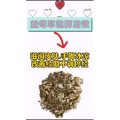 健康养生11