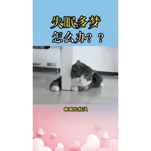 健康养生69