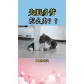 健康养生69