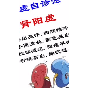 健康养生86