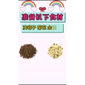 健康养生95