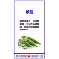 健康养生162