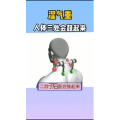 健康养生165