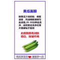 健康养生174