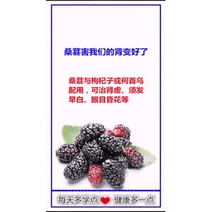 健康养生186