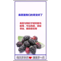 健康养生186