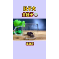 健康养生198