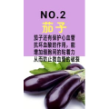 健康养生213