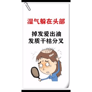 健康养生232