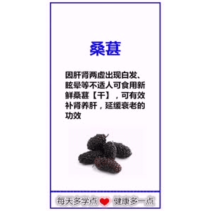 健康养生262