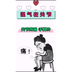 健康养生280