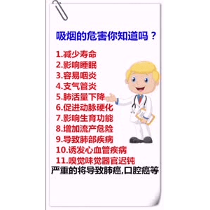 健康养生282