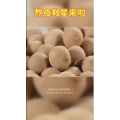 健康养生313