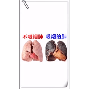 健康养生321