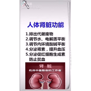 健康养生322
