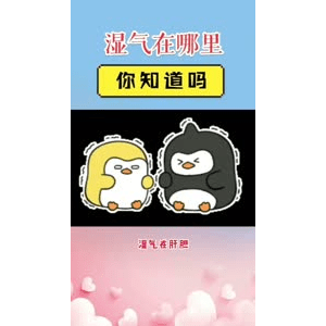 健康养生333