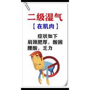 健康养生351