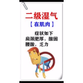 健康养生351