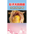 健康养生374