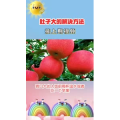 健康养生384