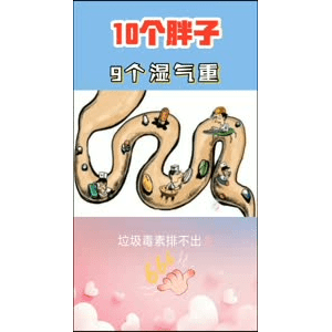 健康养生402