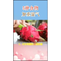 健康养生419