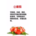 健康养生439