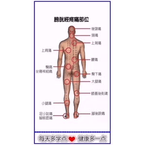 健康养生440