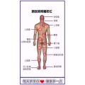 健康养生440