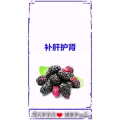 健康养生442
