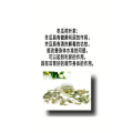 健康养生454