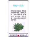 健康养生501