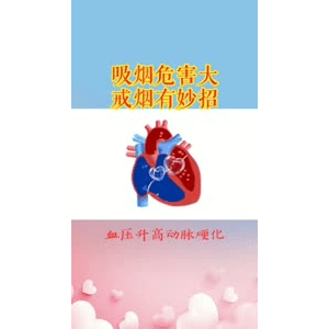 健康养生522