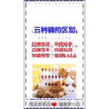 健康养生534