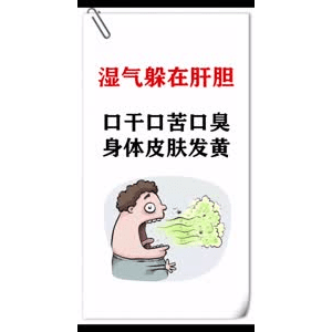 健康养生537