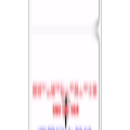 健康养生557