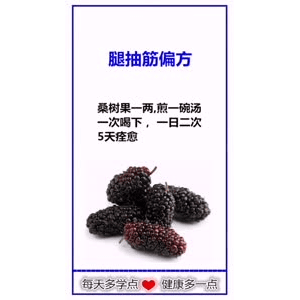 健康养生566