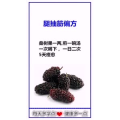 健康养生566
