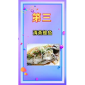健康养生571