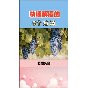 健康养生580